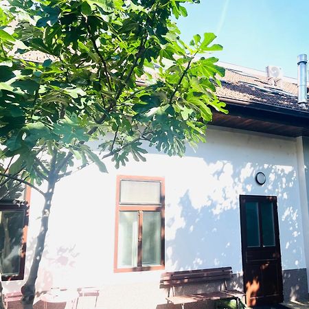 Jokai Apartman Komárno Esterno foto